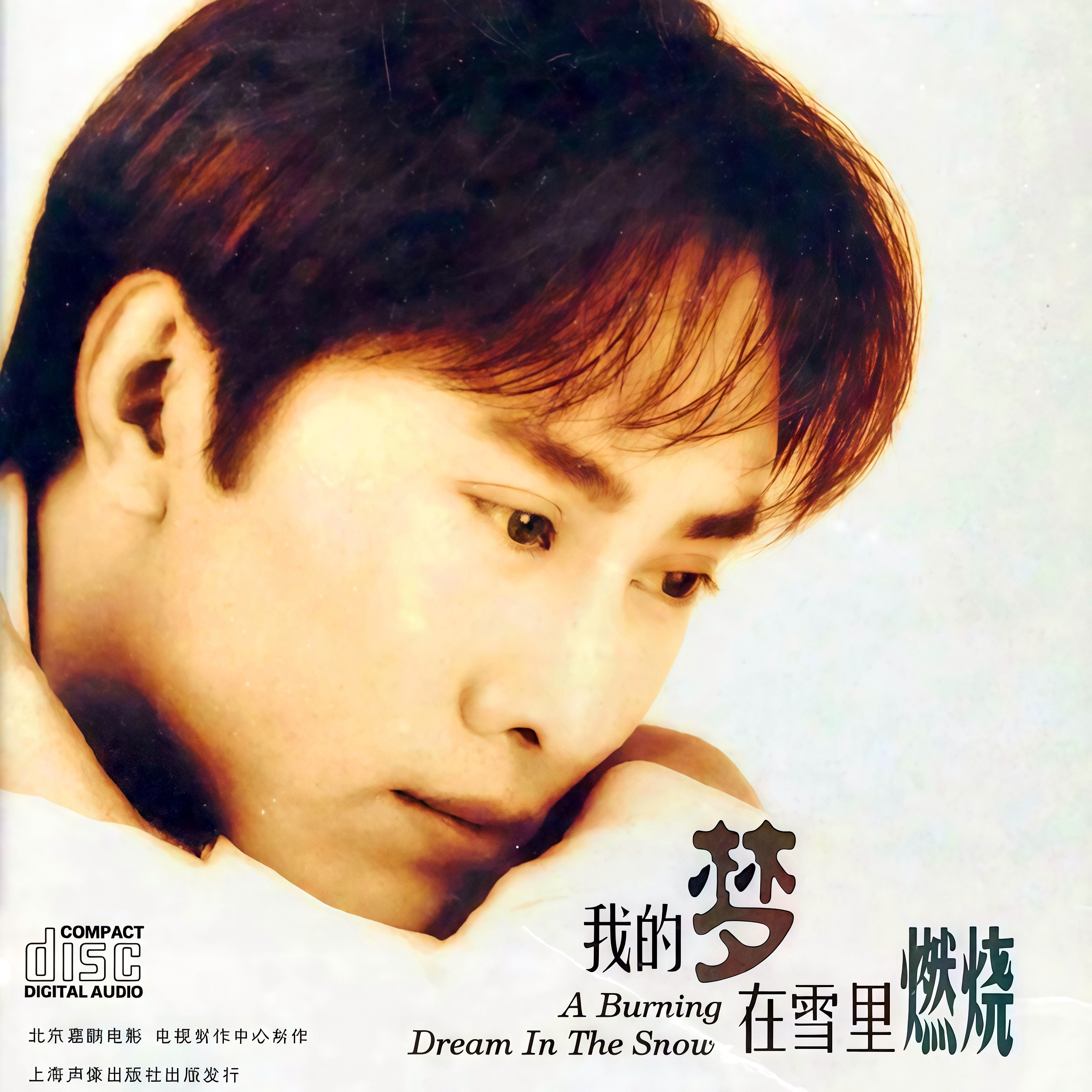 常回家看看_江涛_我的梦在雪里燃烧 | 在线播放_常回家看看歌词_常回家看看下载 | 网易云音乐