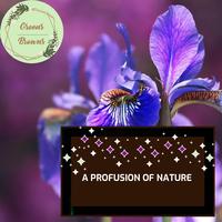 A Profusion of Nature