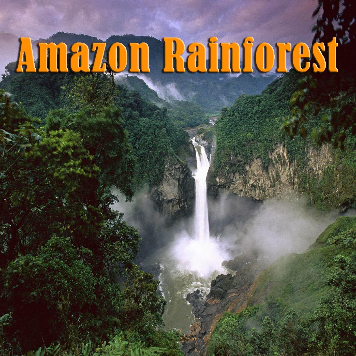 Travel Page Ideas for Exploring the Mesmerizing Wonders of the Amazon Rainforest