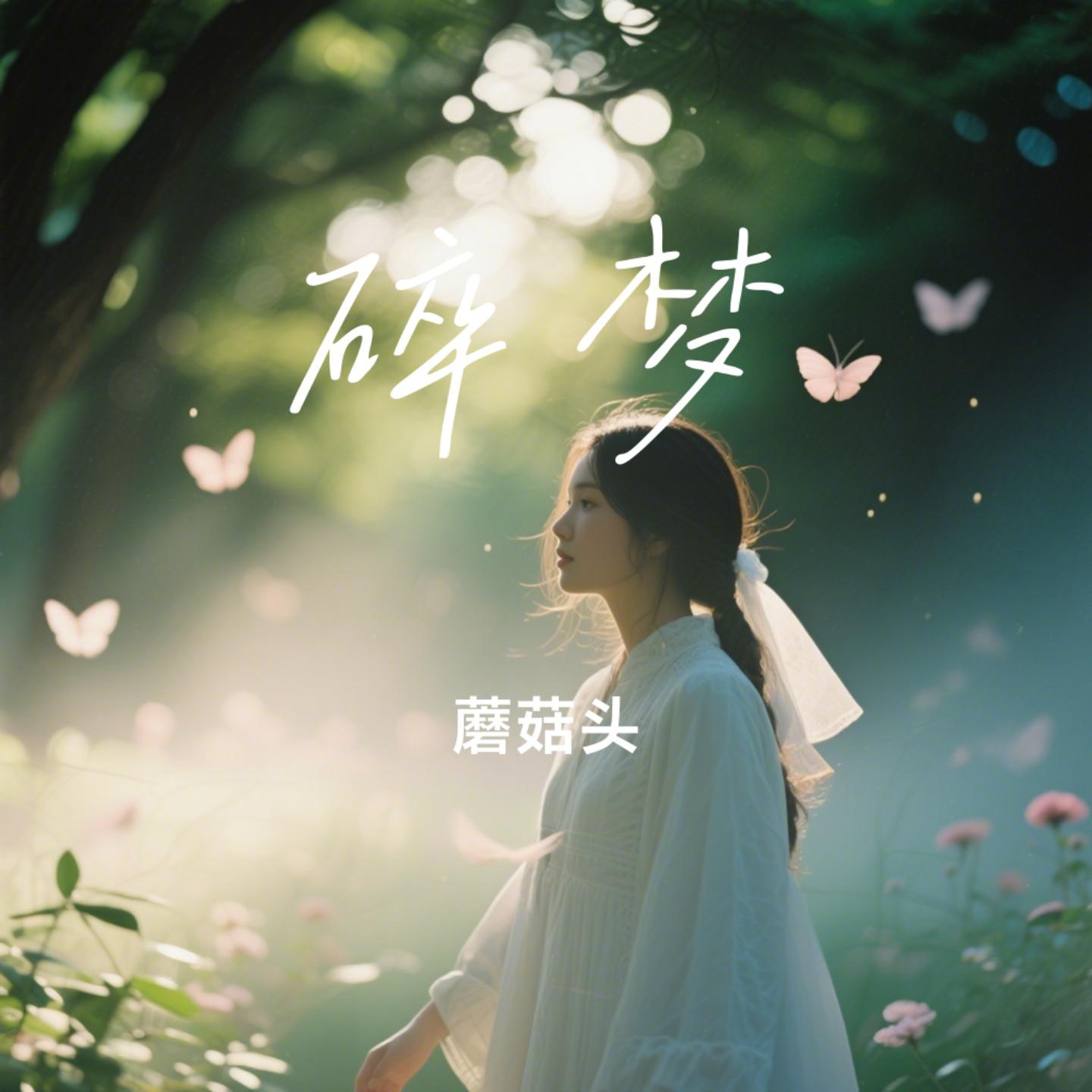 碎梦封面
