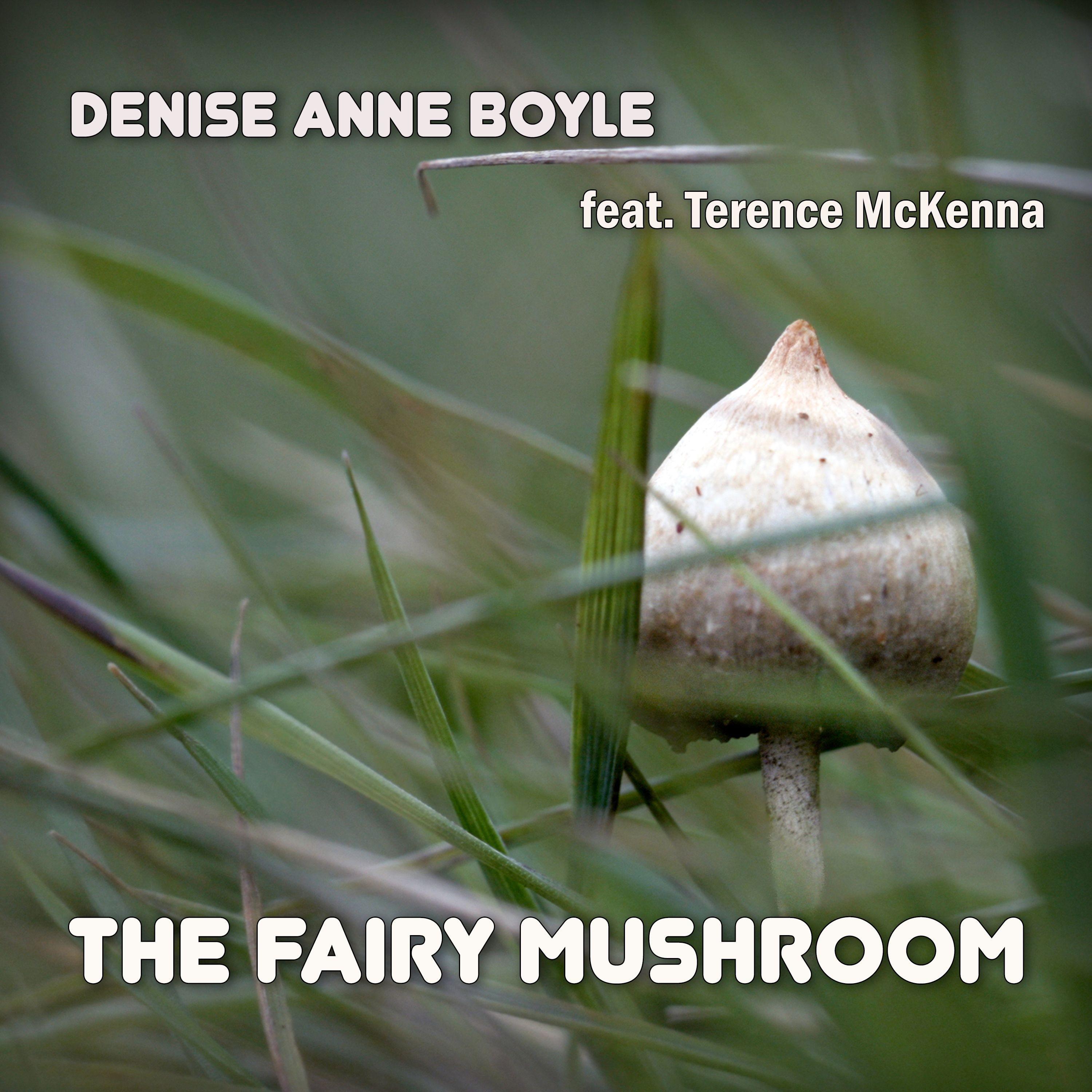 The Fairy Mushroom