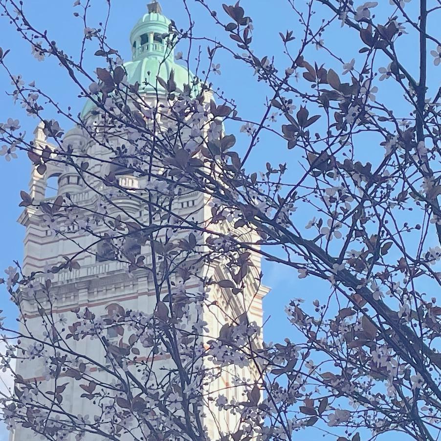 BREAK UP （Cover: Leellamarz/TOIL）