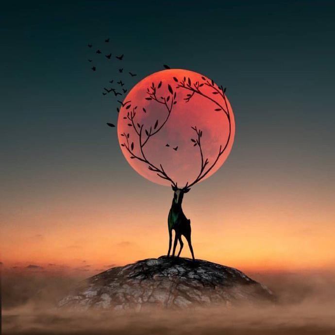 【治愈】为什么关机又关机皮卡丘多多（关机又关机伴奏 女生 抖音）