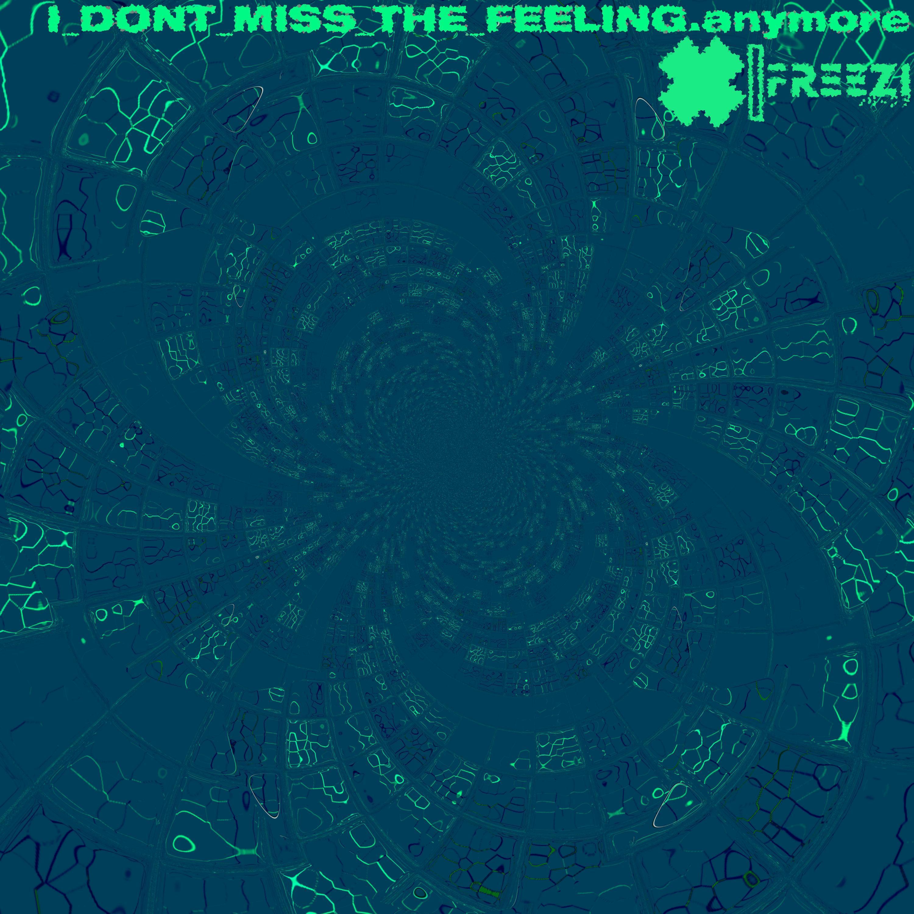 I_DONT_MISS_THE_FEELING.anymore