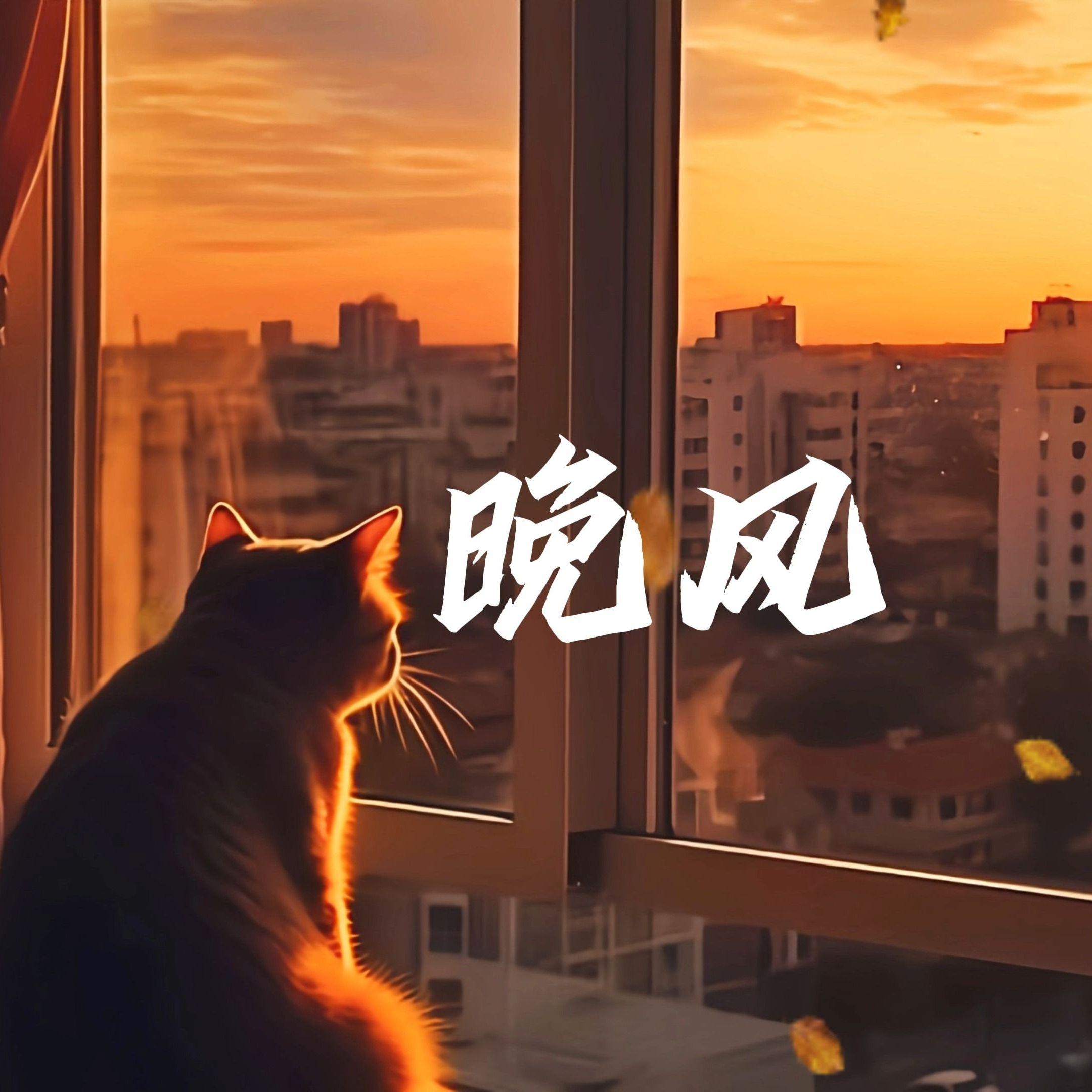 落空的晚风_3322253封面