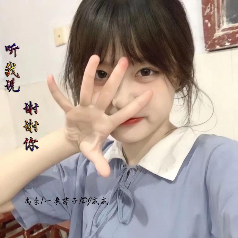 踏山河 (DJ版)封面