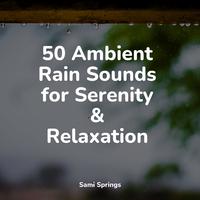 50 Ambient Rain Sounds for Serenity & Relaxation