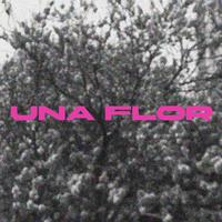 Una Flor