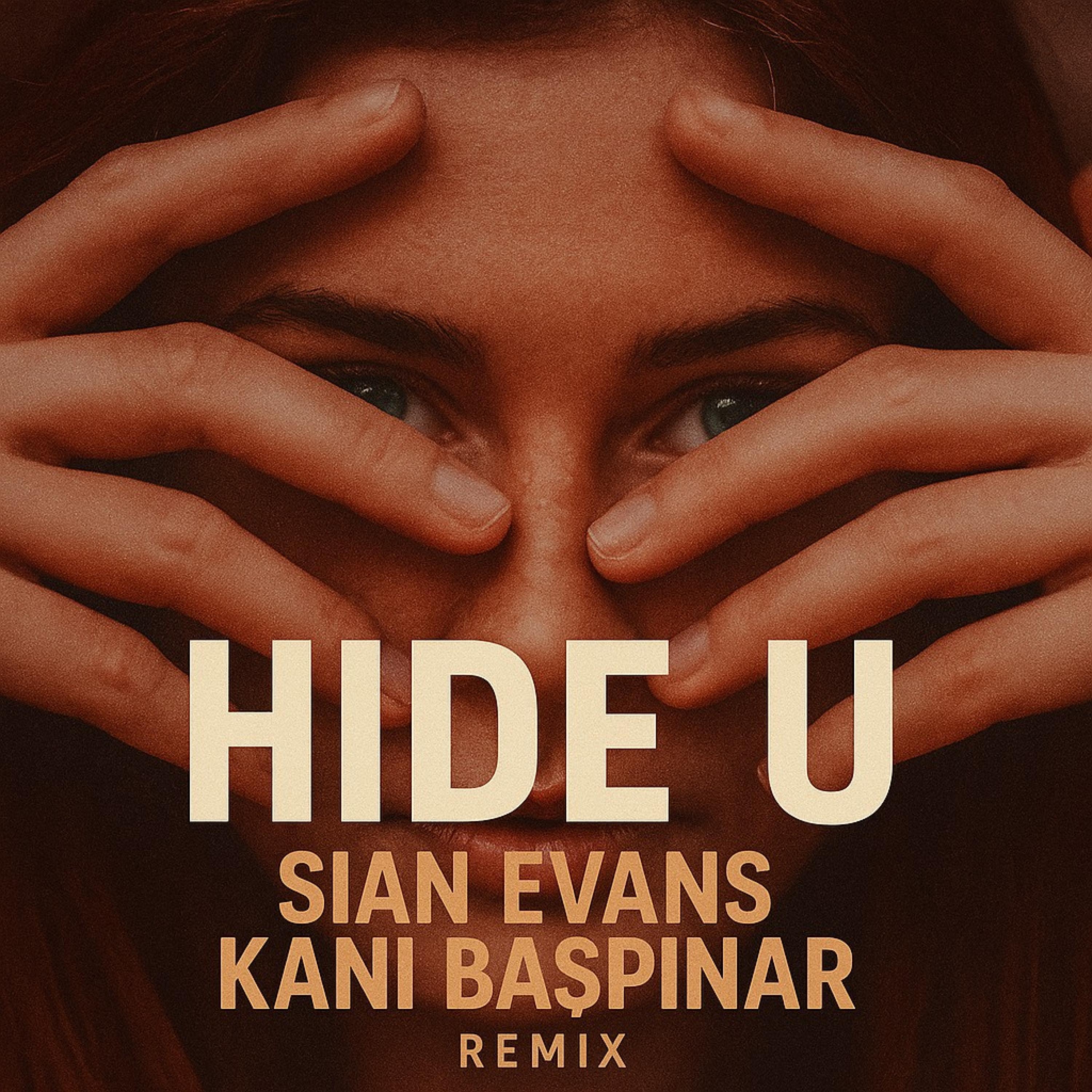 Hide U (feat. Sian Evans)