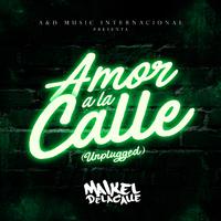 Amor a la Calle (Unplugged)