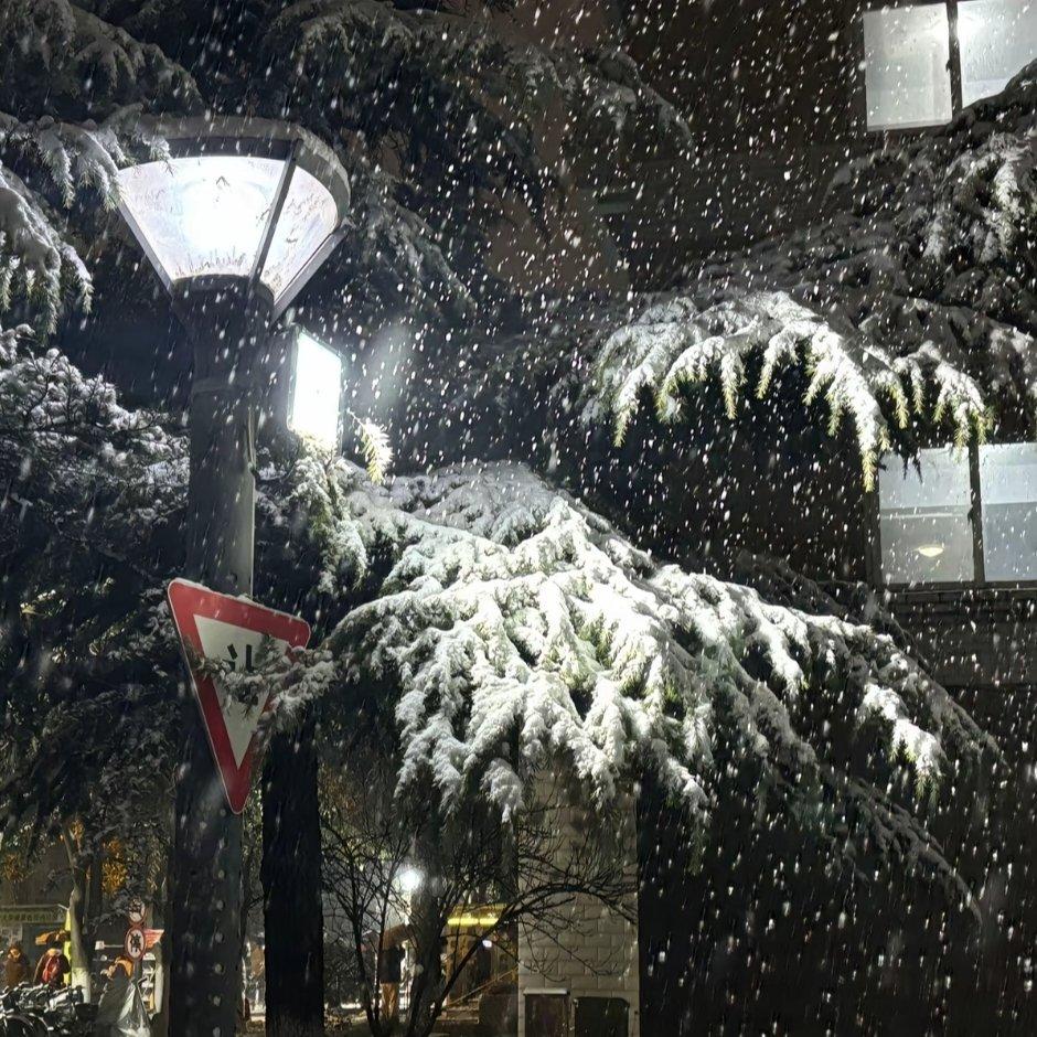 雪与火炉封面