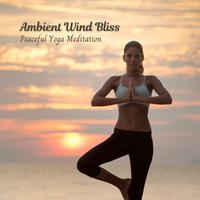 Ambient Wind Bliss: Peaceful Yoga Meditation