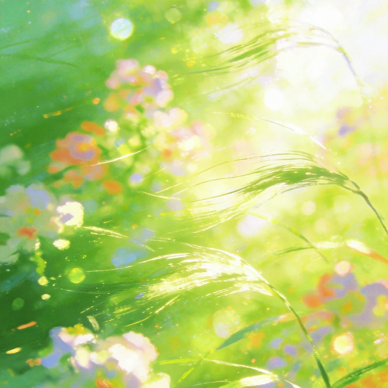 春盈 (Spring Glow)_凌晨一点的莱茵猫_春盈 | 在线播放_春盈 (Spring Glow)歌词_春盈 (Spring Glow)下载 | 网易云音乐