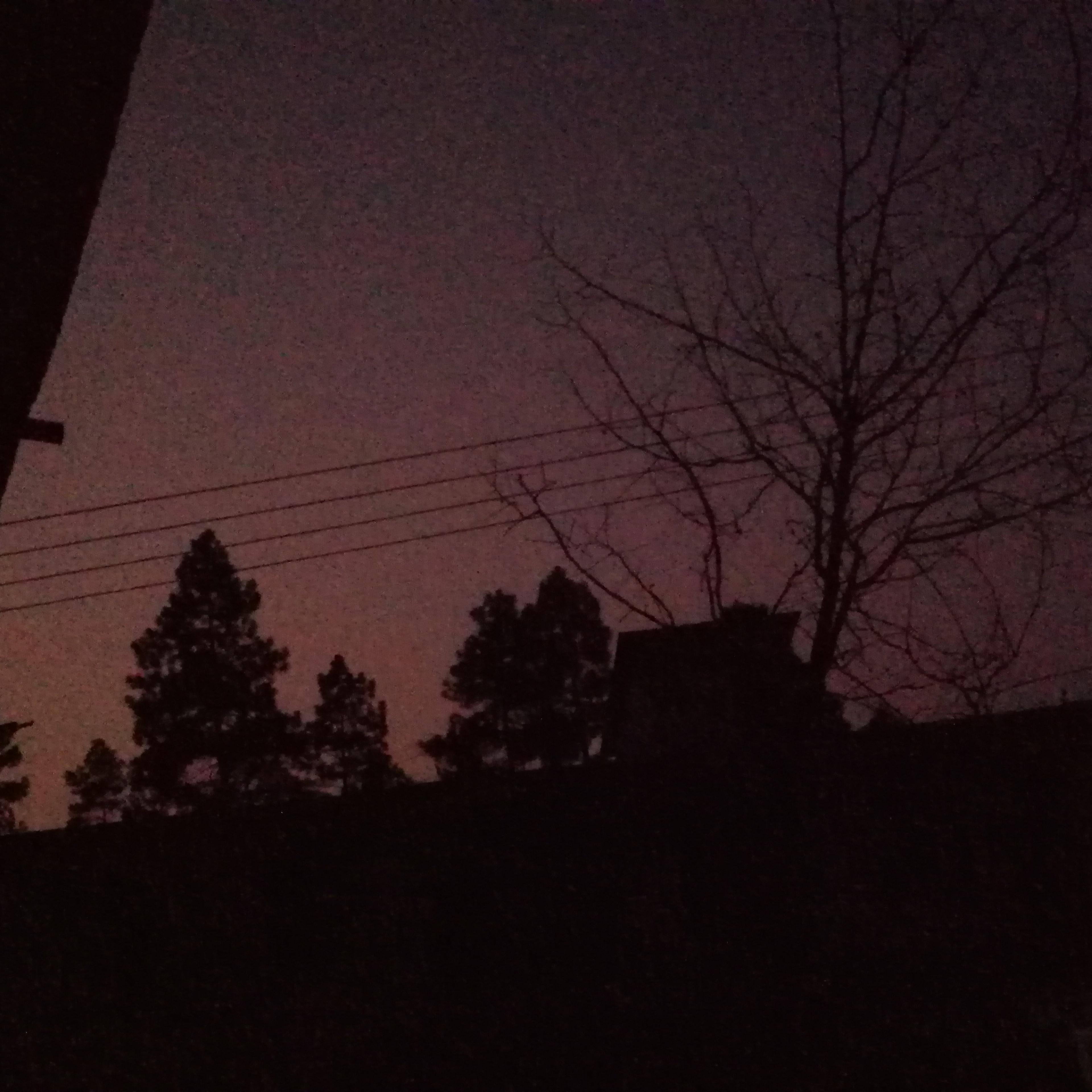 简情歌封面