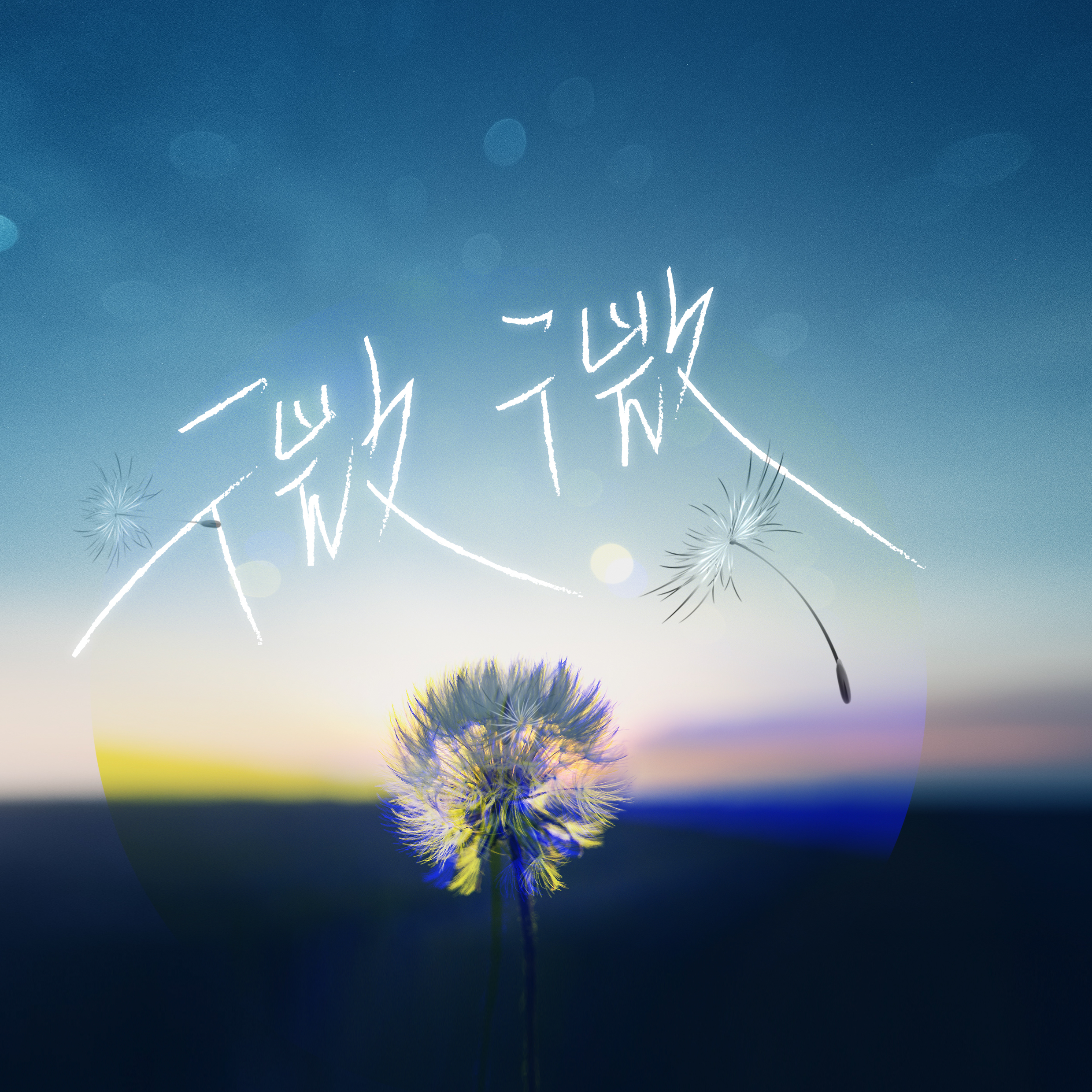 微微封面