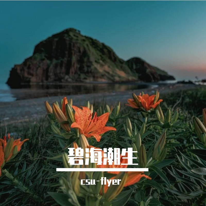 碧海潮生封面