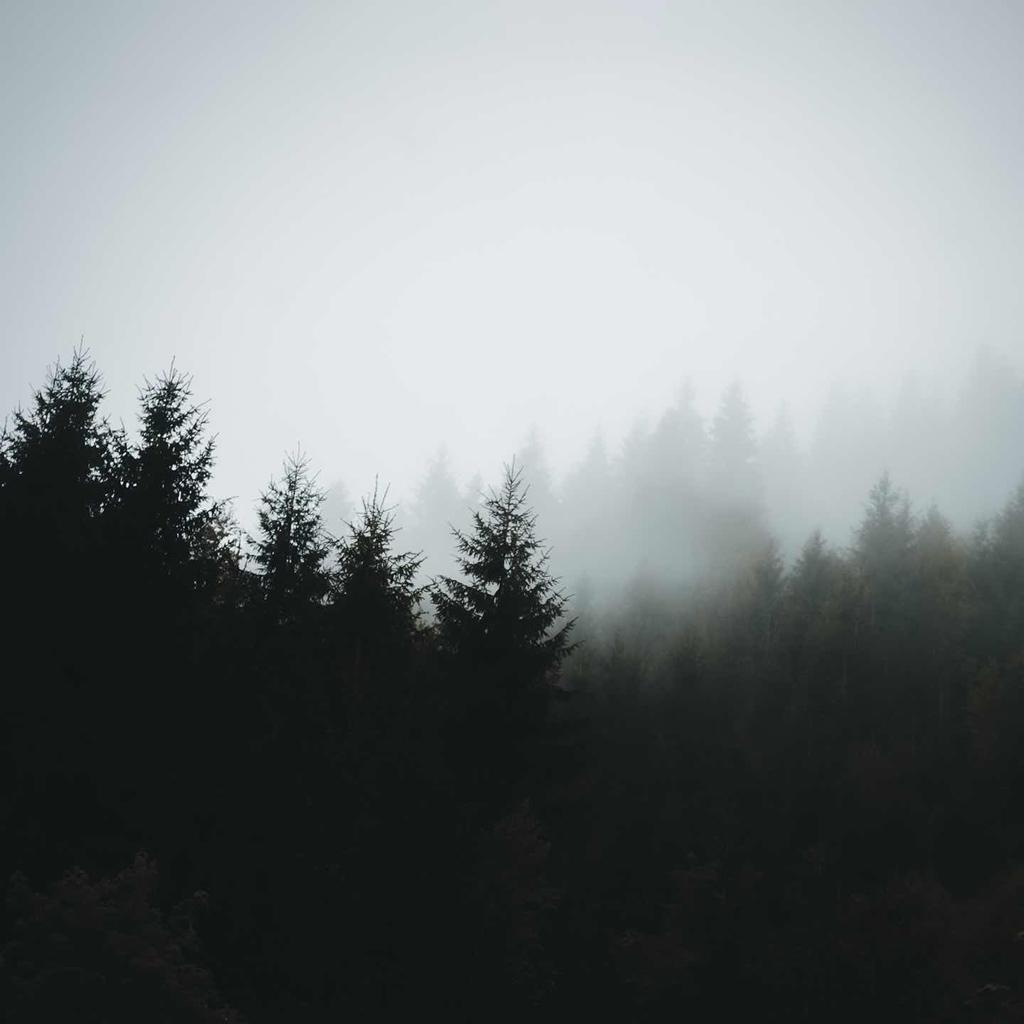 自信的火爆辣椒