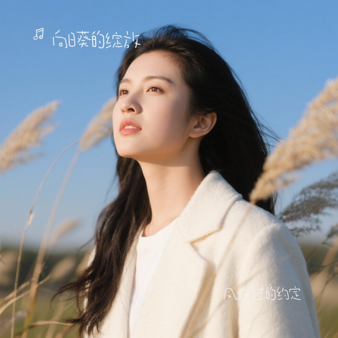 风吹过的约定封面