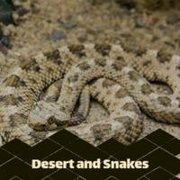 Desert and Snakes