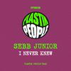 Sebb Junior - I Never Knew (Instrumental)