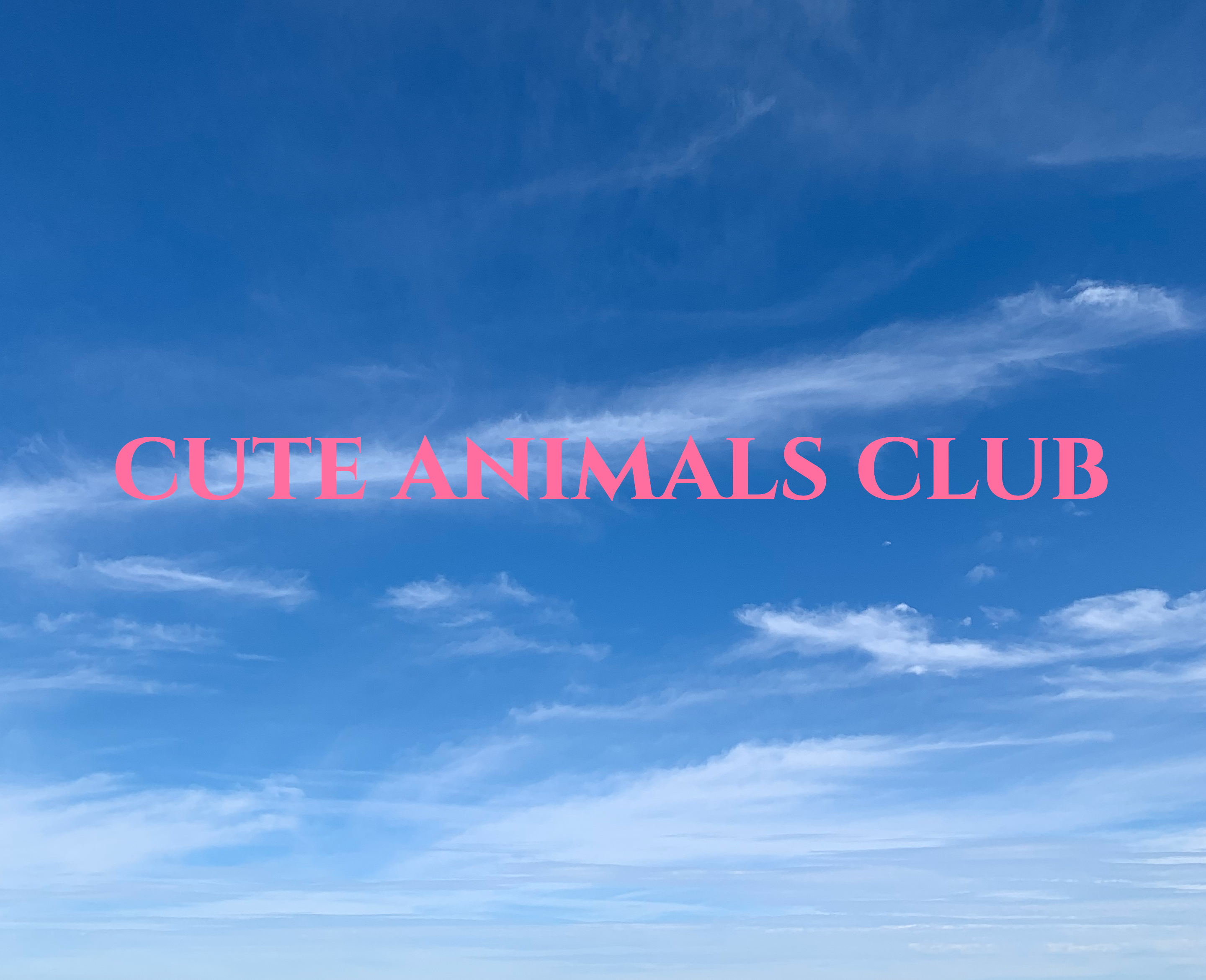 cute animals club
