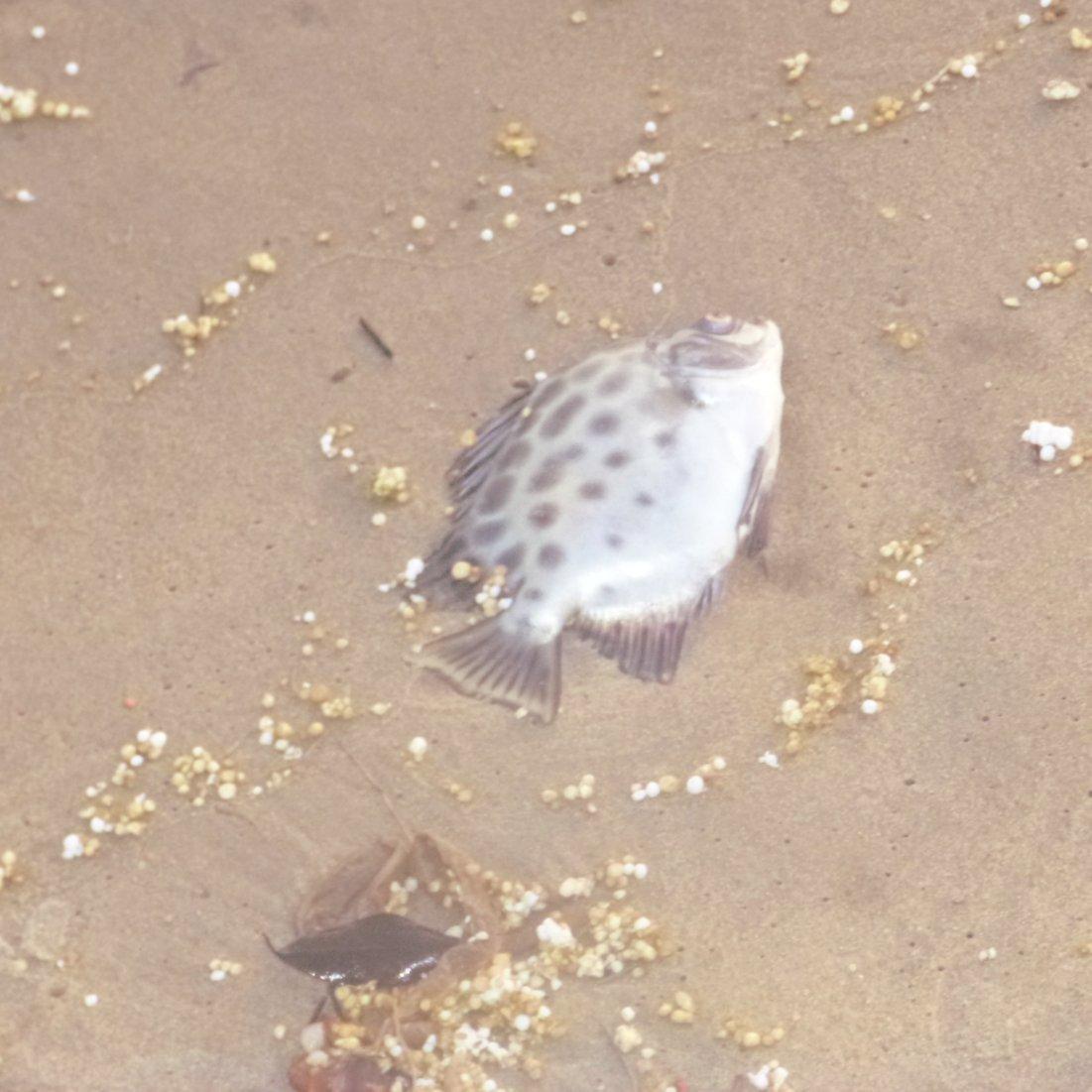 it s 4am and i m in prison