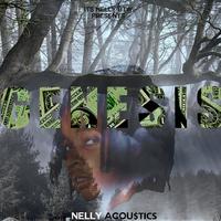 Nelly Acou$tics资料,Nelly Acou$tics最新歌曲,Nelly Acou$ticsMV视频,Nelly Acou$tics音乐专辑,Nelly Acou$tics好听的歌