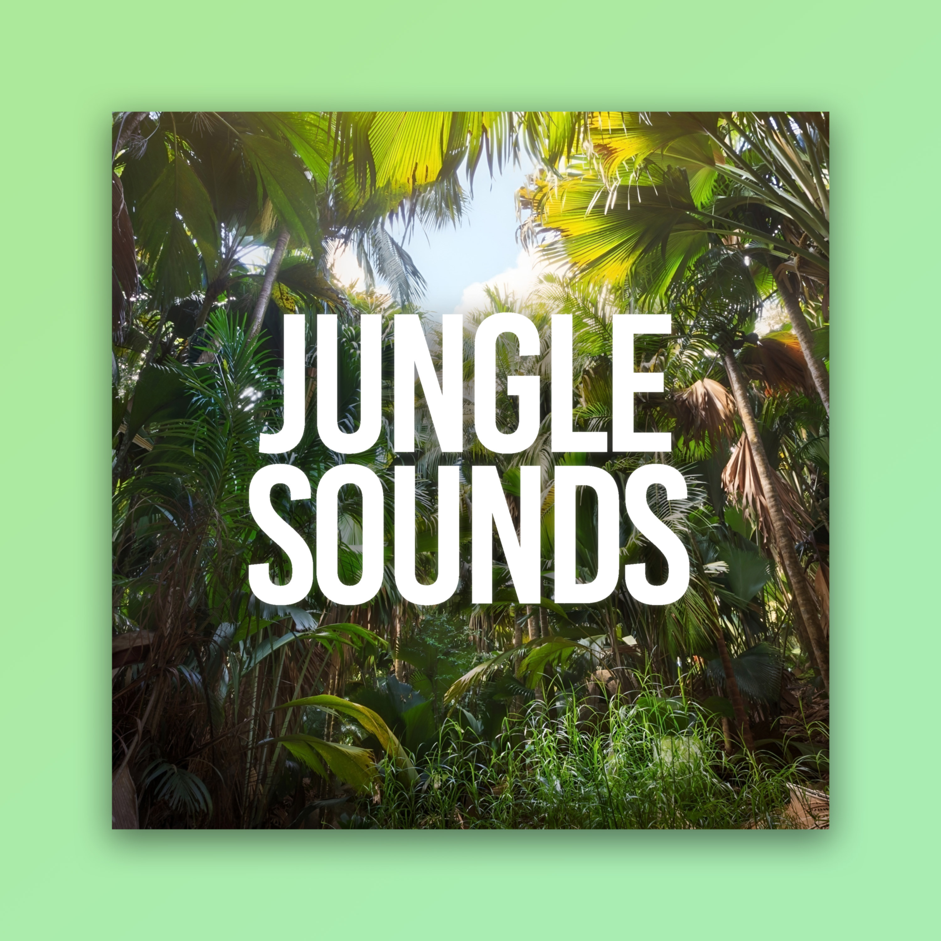 Jungle Sounds Relaxing Rain Sounds 
