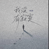 我没有寂寞专辑