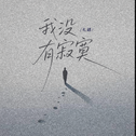 我没有寂寞专辑
