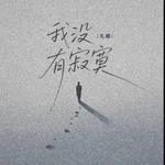 我没有寂寞专辑