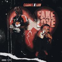 Fake Love 2