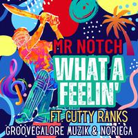 What A Feelin (feat. Cutty Ranks) [Radio Edit]