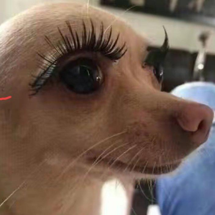 ...............................