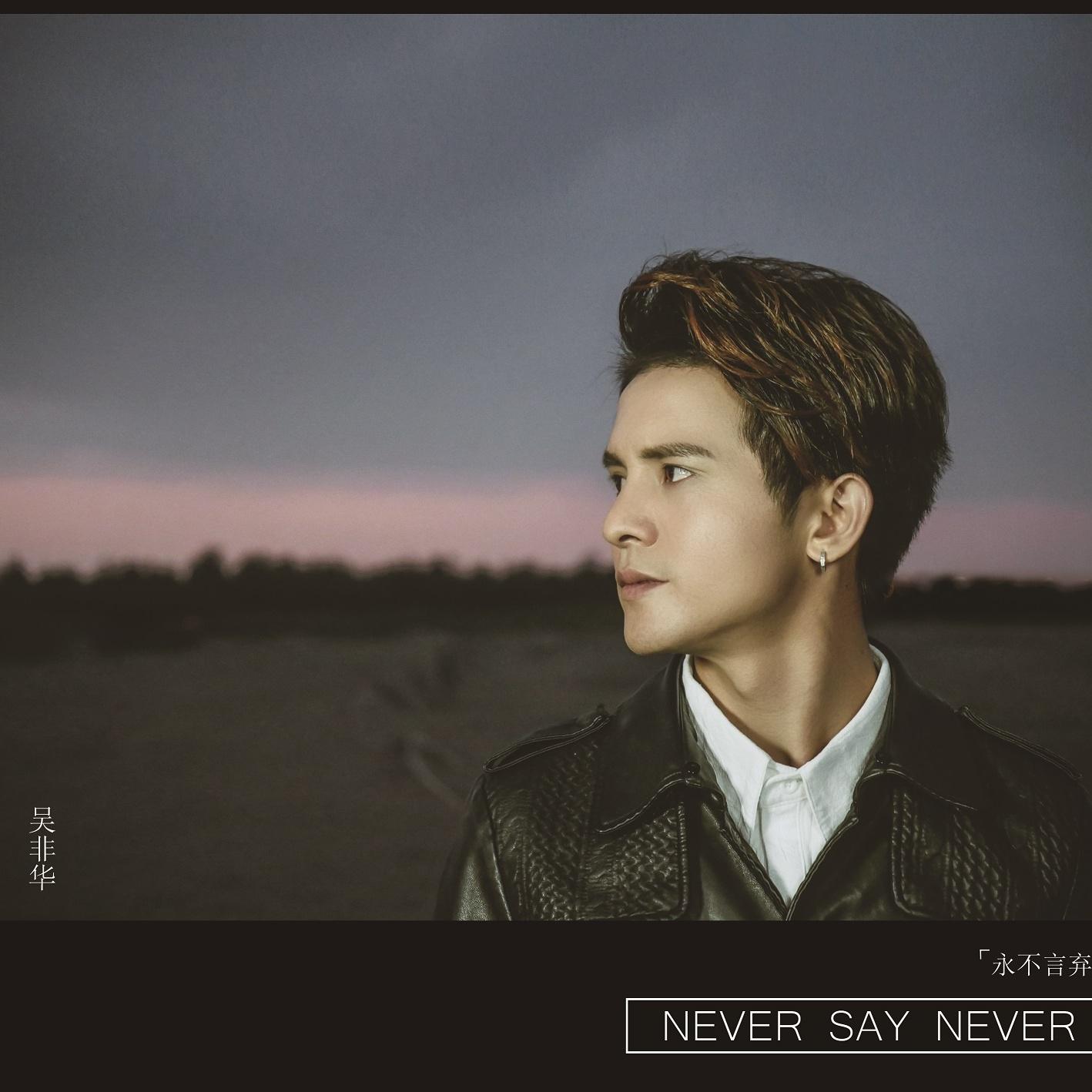 never say never专辑介绍,歌曲歌词下载_吴非华 - 歌词131音乐