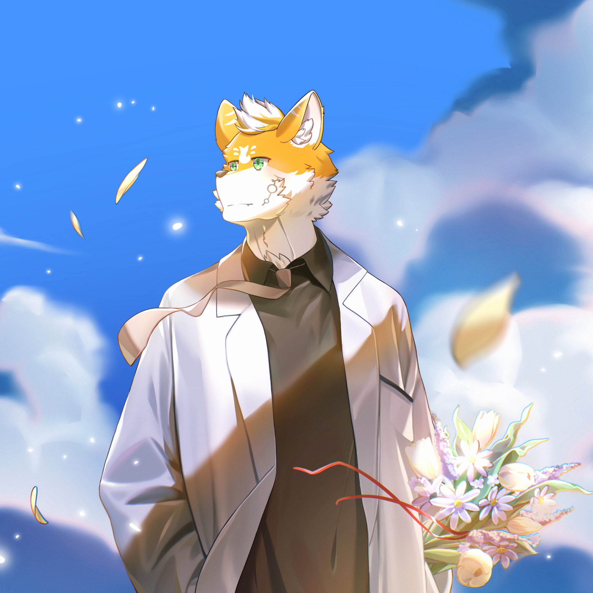蔚蓝晴空封面
