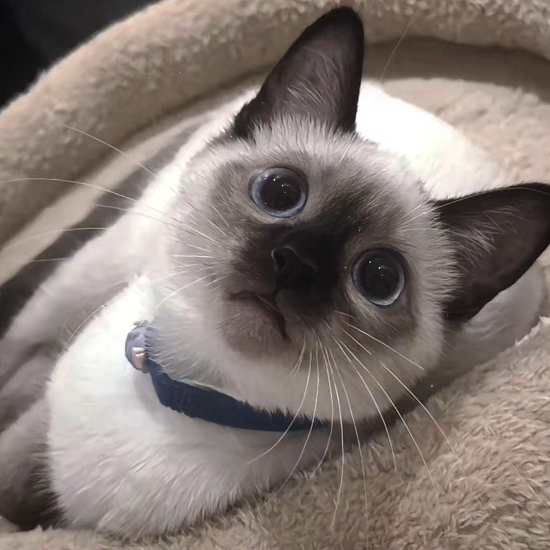 擁抱是我的止痛劑