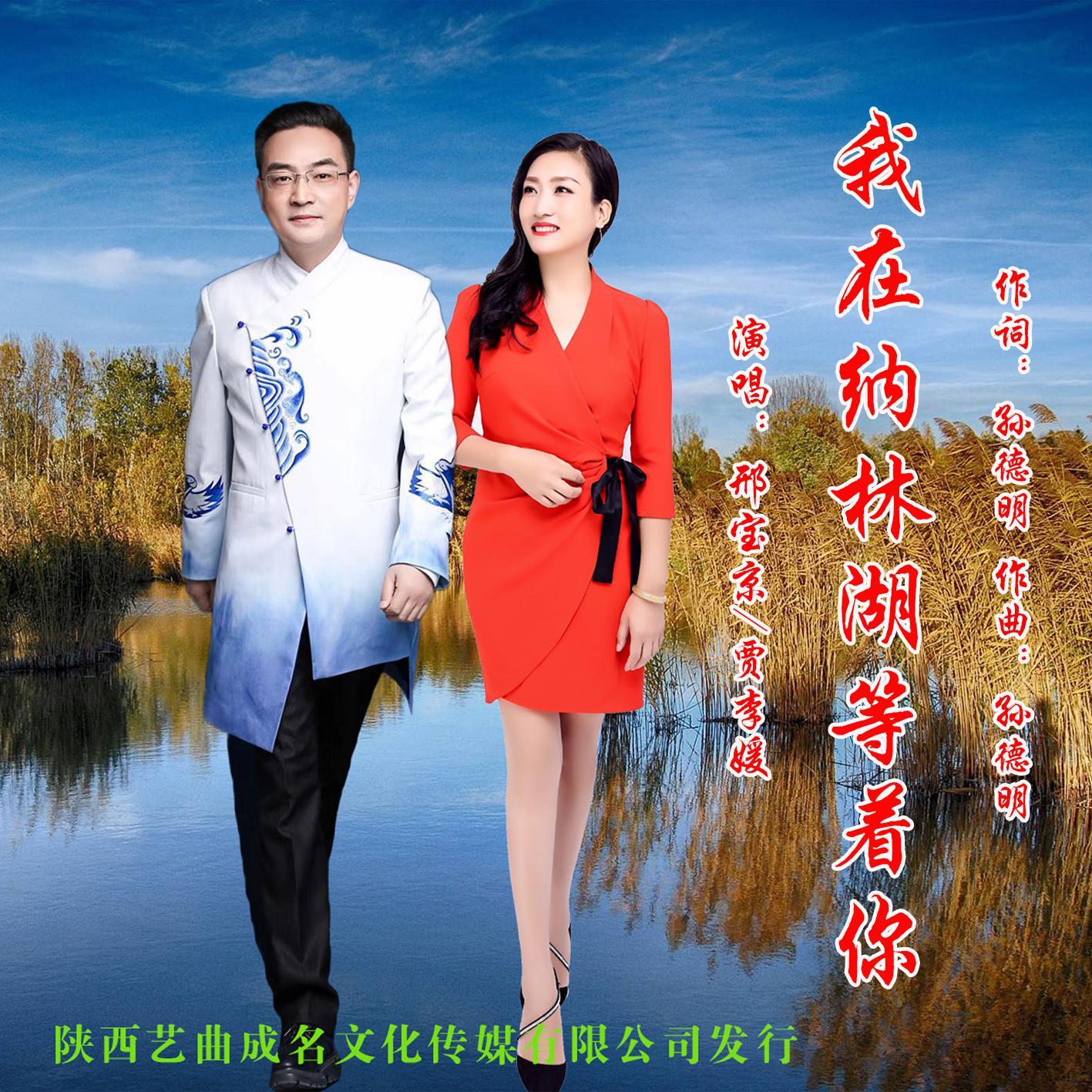 我在纳林湖等着你封面