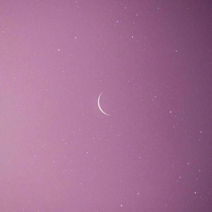 ALL-RANGE-樱花草（Lil p / TC remix）