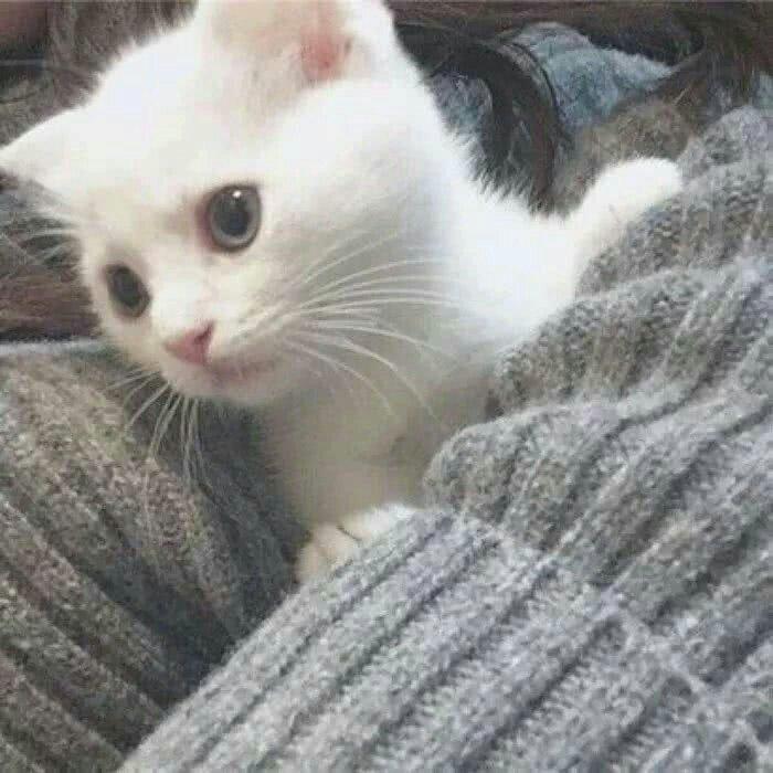 柔情千种