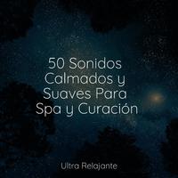 50 Sonidos Calmados y Suaves Para Spa y Curación