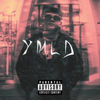 Y.M.L.D.