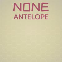 None Antelope