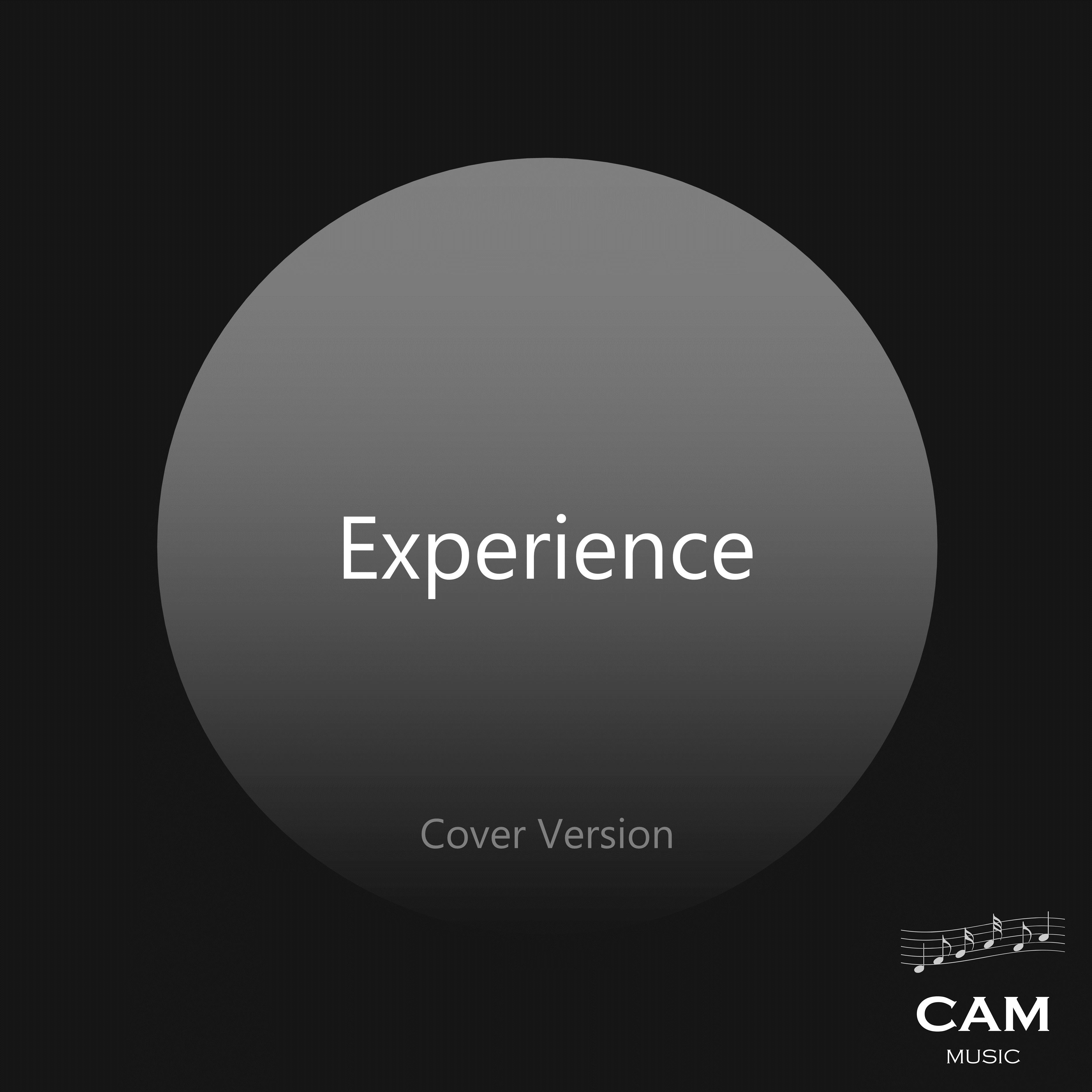 Experience (Cover Version)