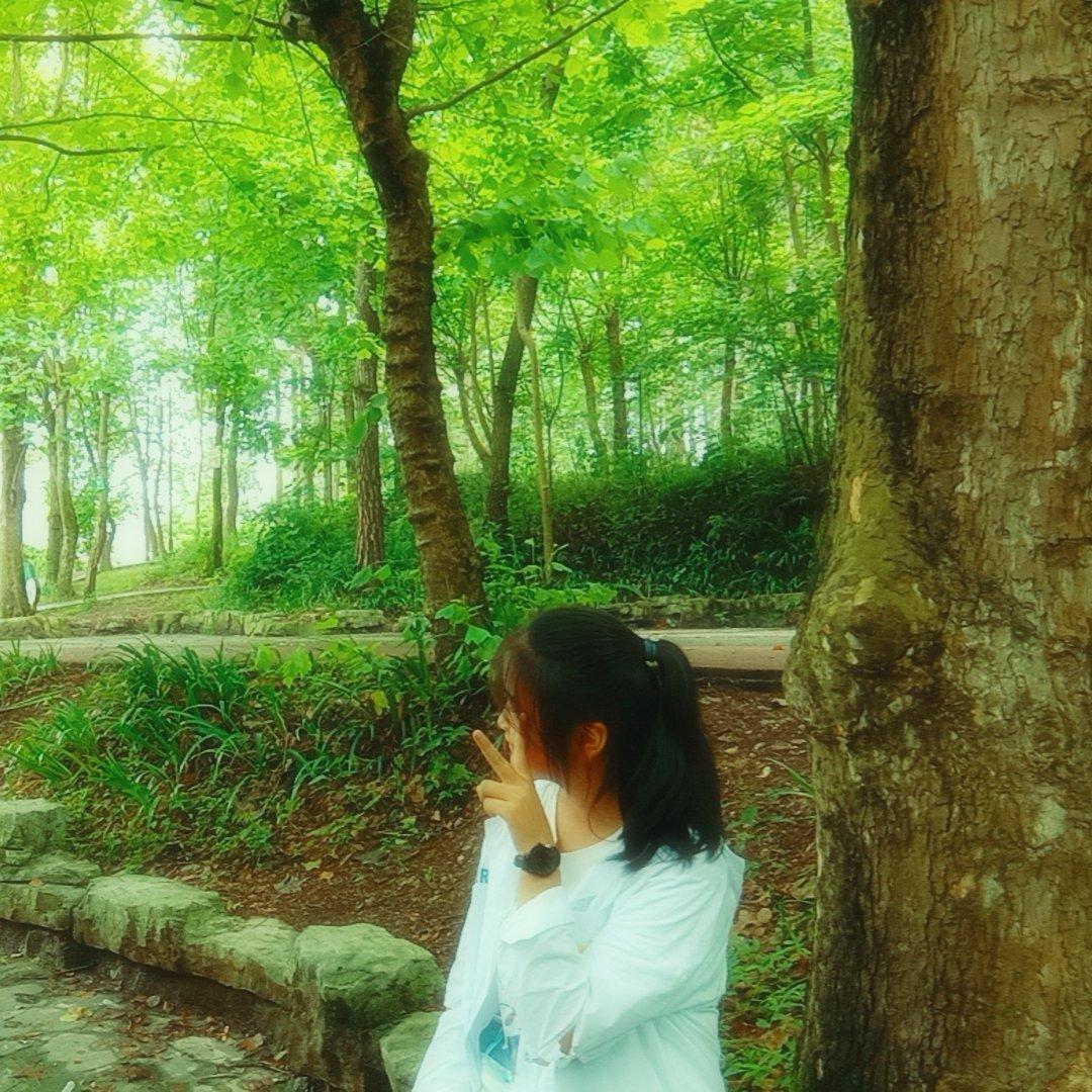 素鸢半暖画凉筝1907