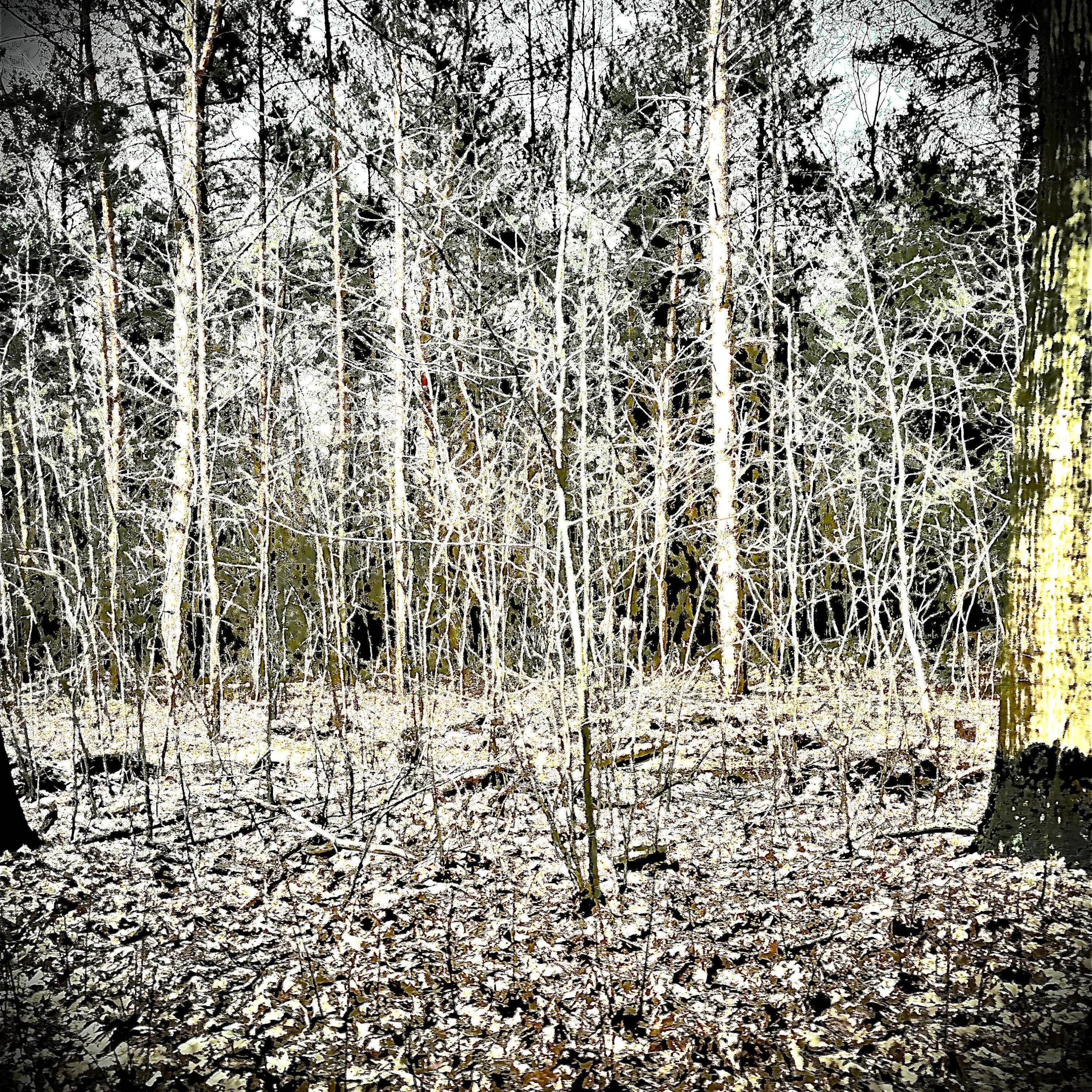 woke up with my backsore