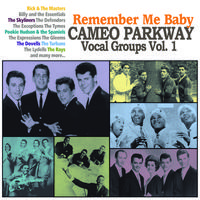 Remember Me Baby: Cameo Parkway Vocal Groups Vol. 1