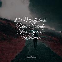 25 Mindfulness Rain Sounds For Spa & Wellness