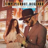 Timp Pierdut Degeaba