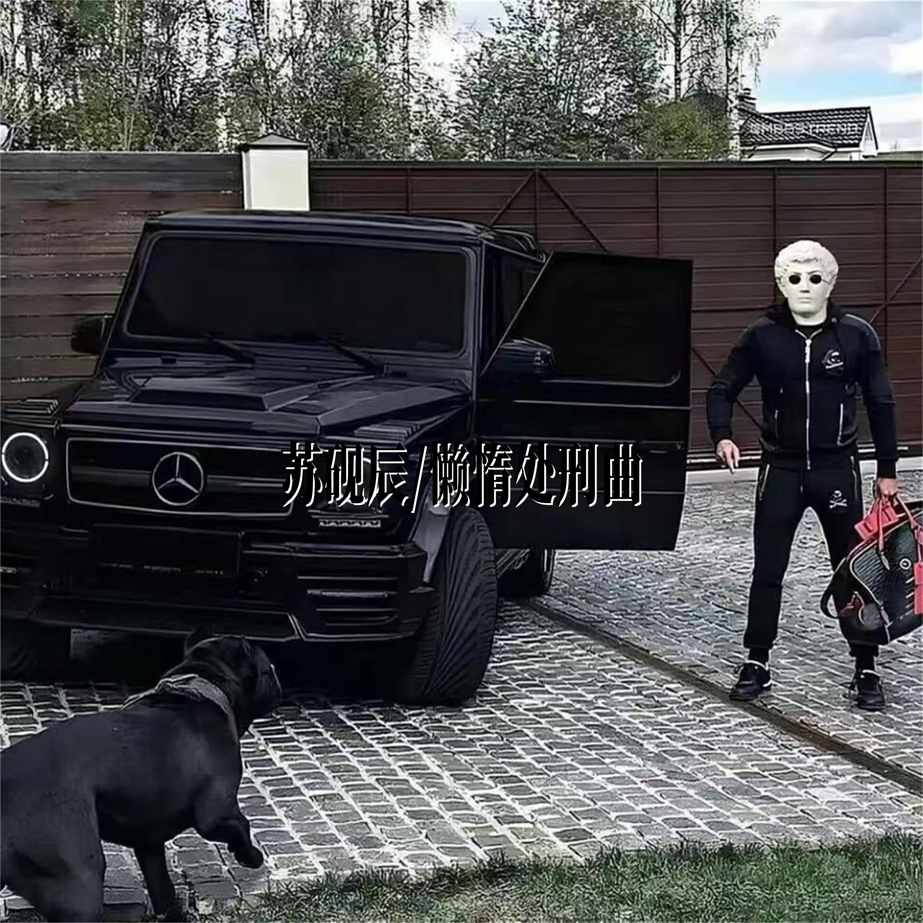 失去的一定要拿回来 - 苏砚辰封面